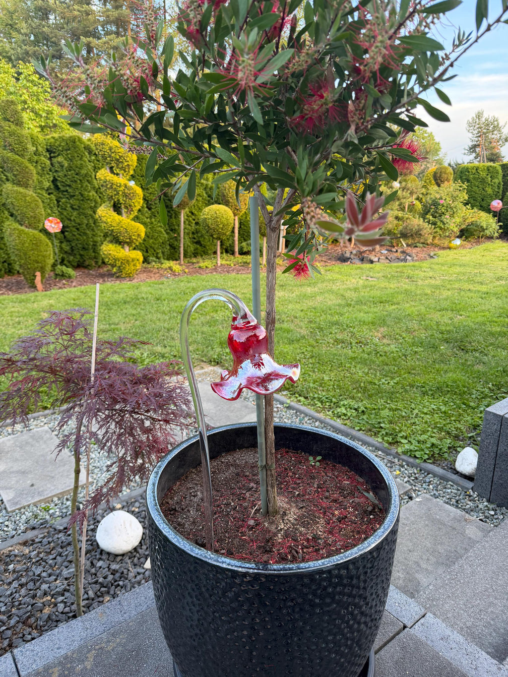 50cm Hand-Blown Red Glass Flower Garden Stake – 12cm Crackle Tulip Sculpture