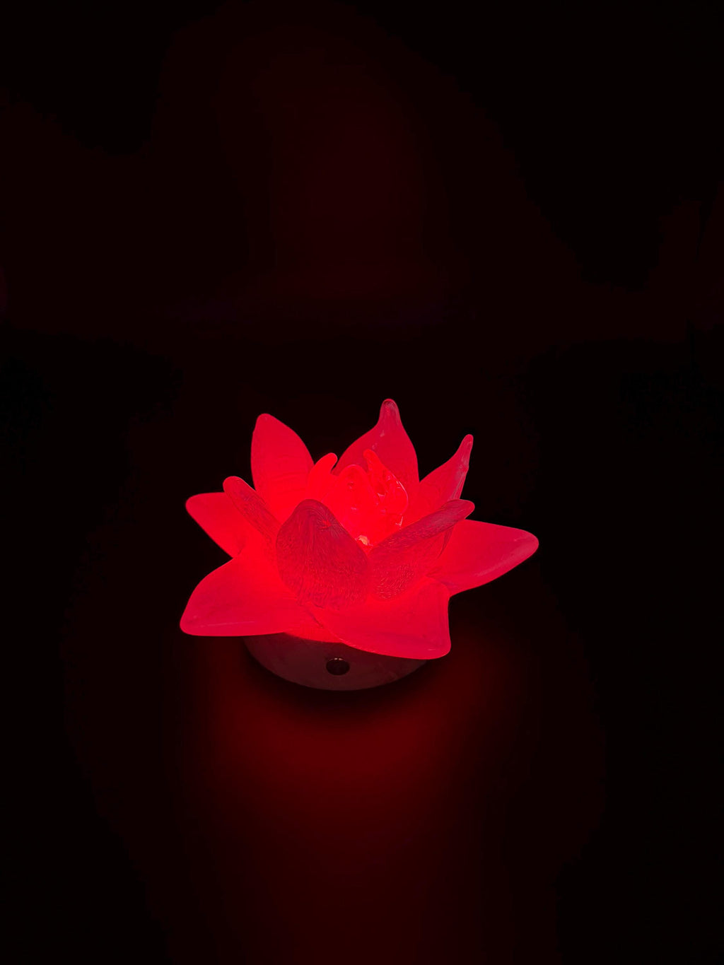 12cm Hand-Blown Glass Flower Lamp – White Petals, Wooden Base, Touch Control Night Light