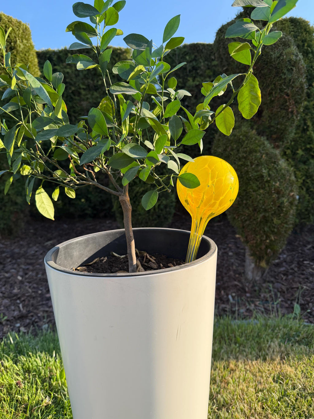 10cm Hand-Blown Yellow Glass Plant Watering Globe – Self-Watering Bulb