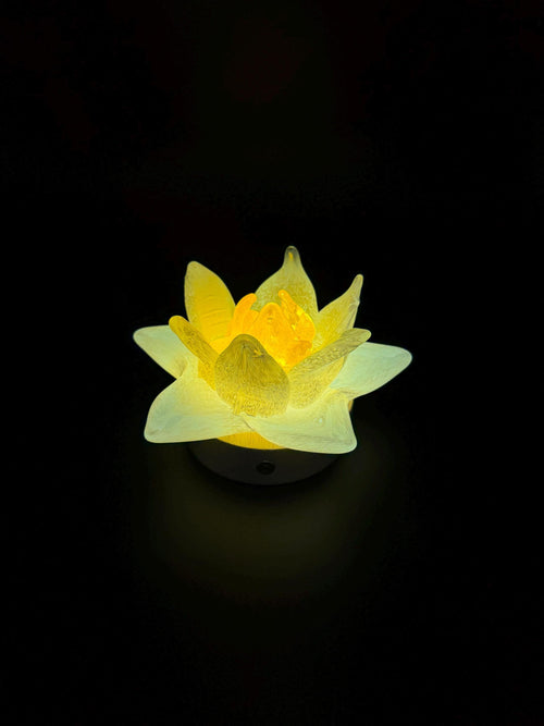 12cm Hand-Blown Glass Flower Lamp – White Petals, Wooden Base, Touch Control Night Light
