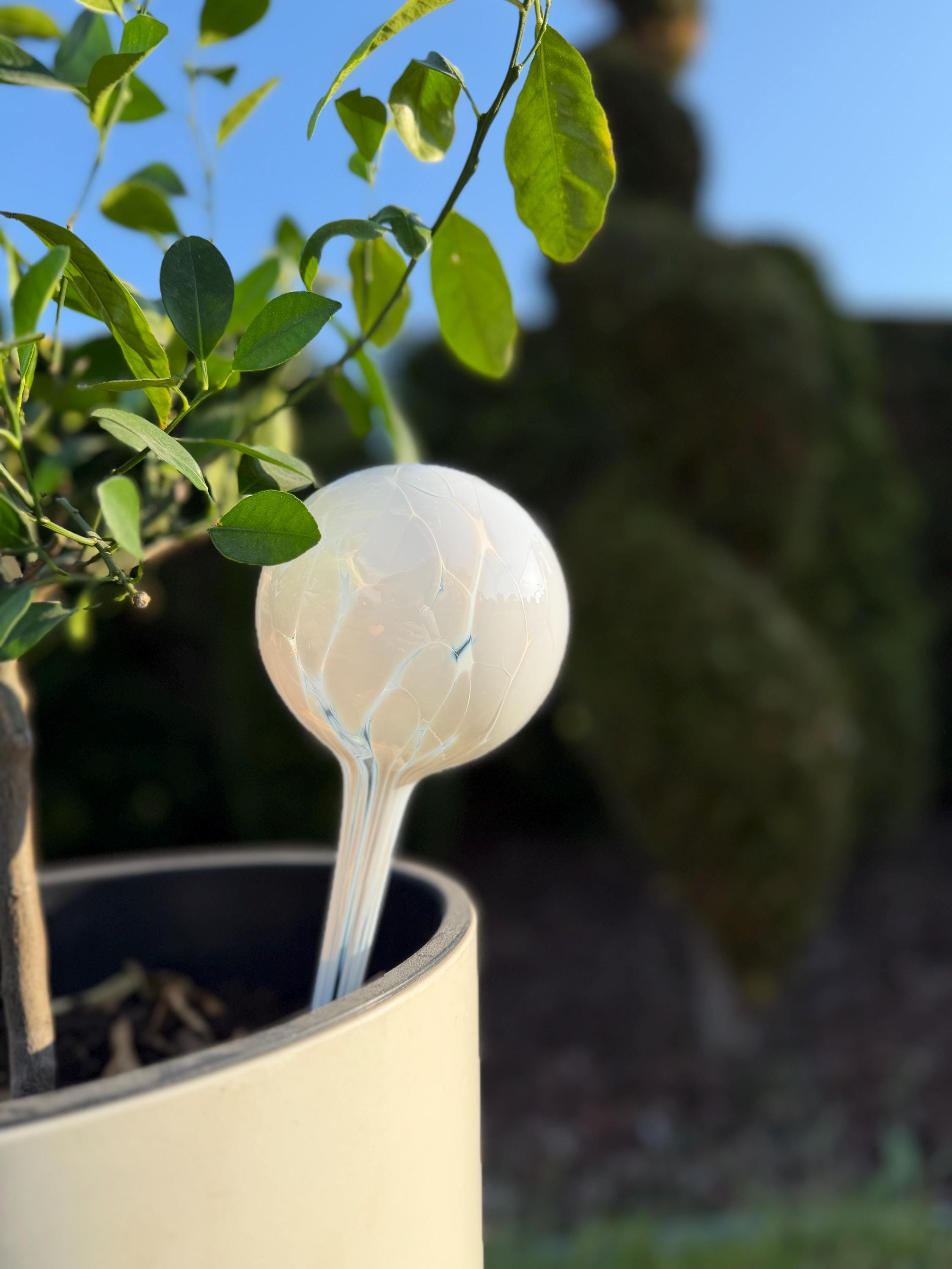 10cm Hand-Blown Pearl White Glass Plant Watering Globe – Self-Watering Bulb