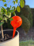 10cm Hand-Blown Orange Glass Plant Watering Globe – Self-Watering Bulb