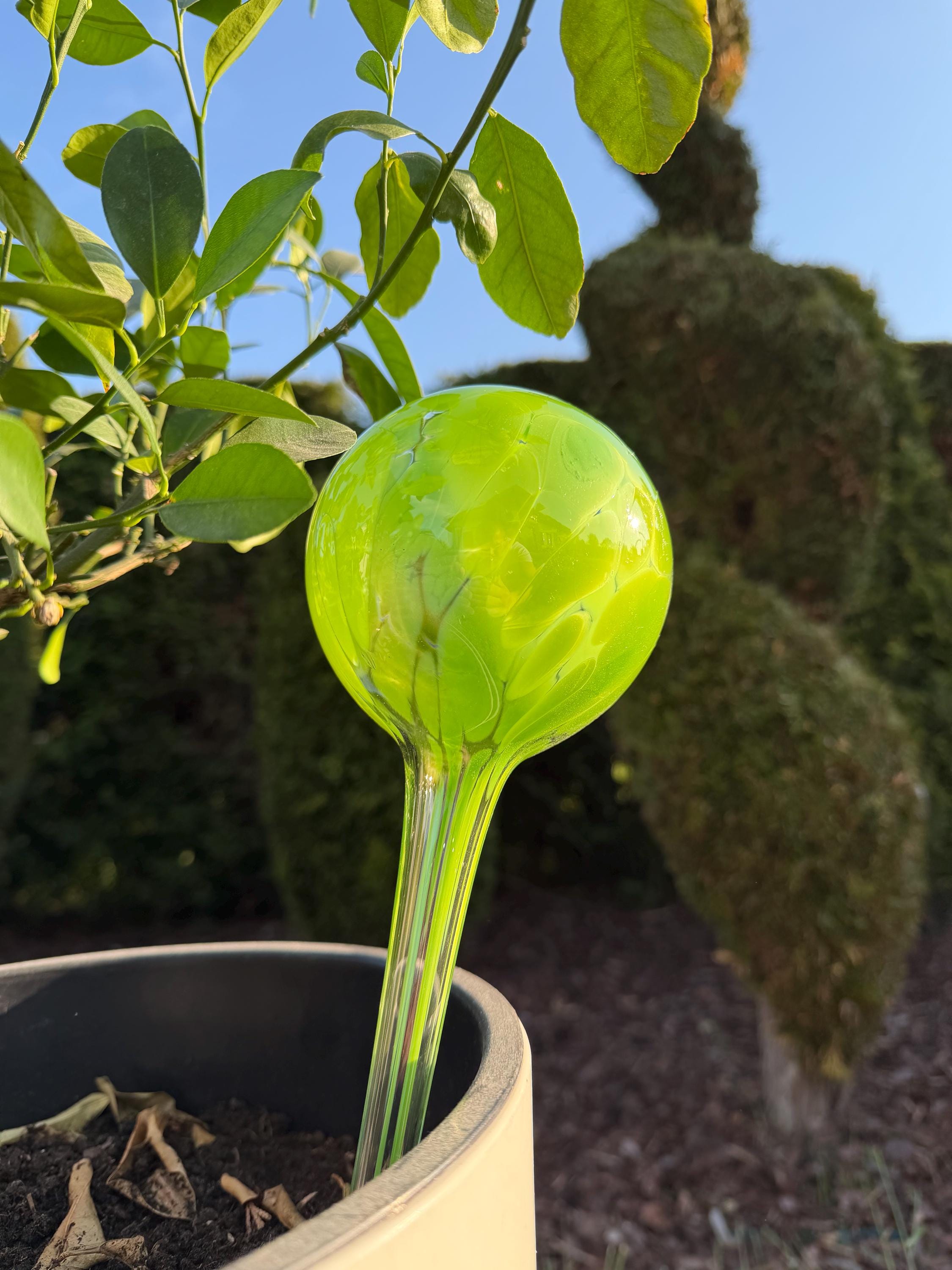 10cm Hand-Blown Lime Green Glass Plant Watering Globe – Self-Watering Bulb