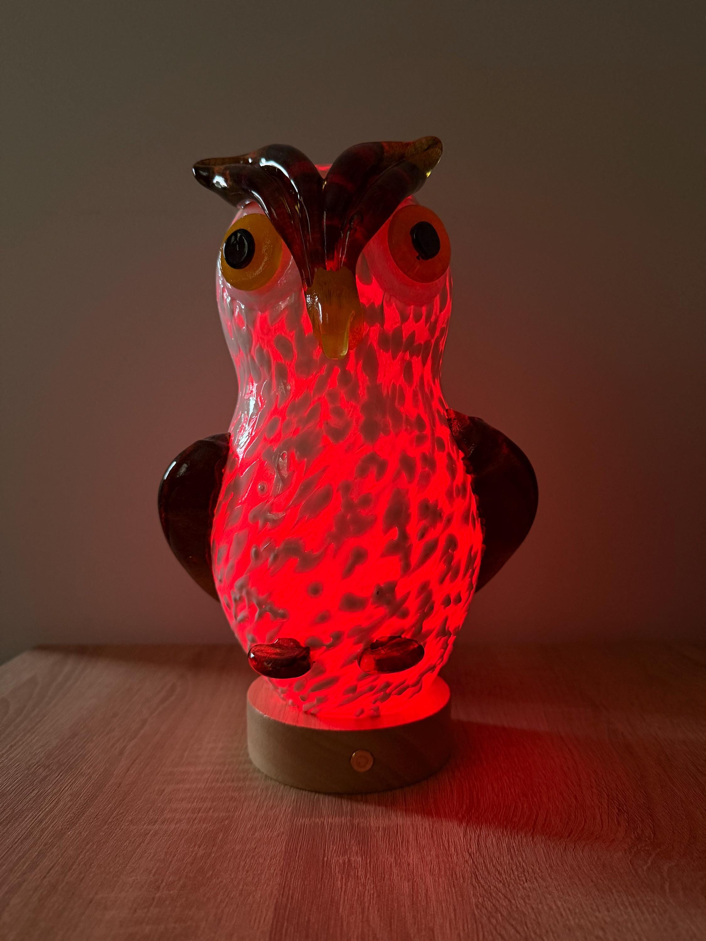 25cm Hand-Blown Glass Owl Lamp – Color Changing LED Touch Light Wooden Base