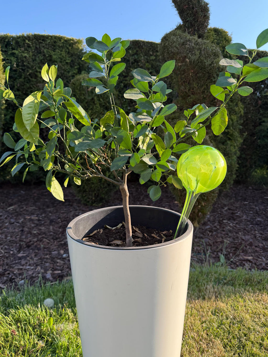 10cm Hand-Blown Lime Green Glass Plant Watering Globe – Self-Watering Bulb