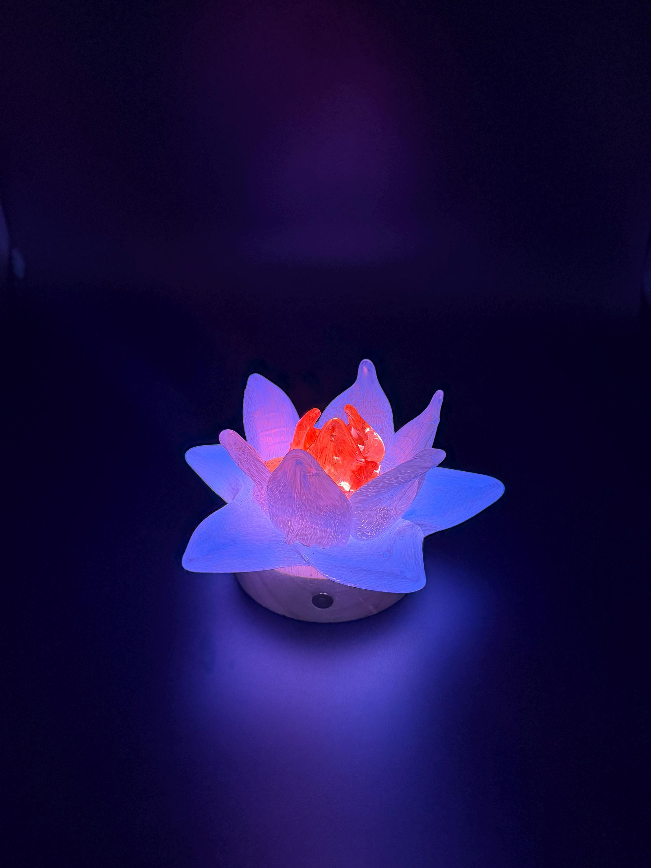 12cm Hand-Blown Glass Flower Lamp – White Petals, Wooden Base, Touch Control Night Light