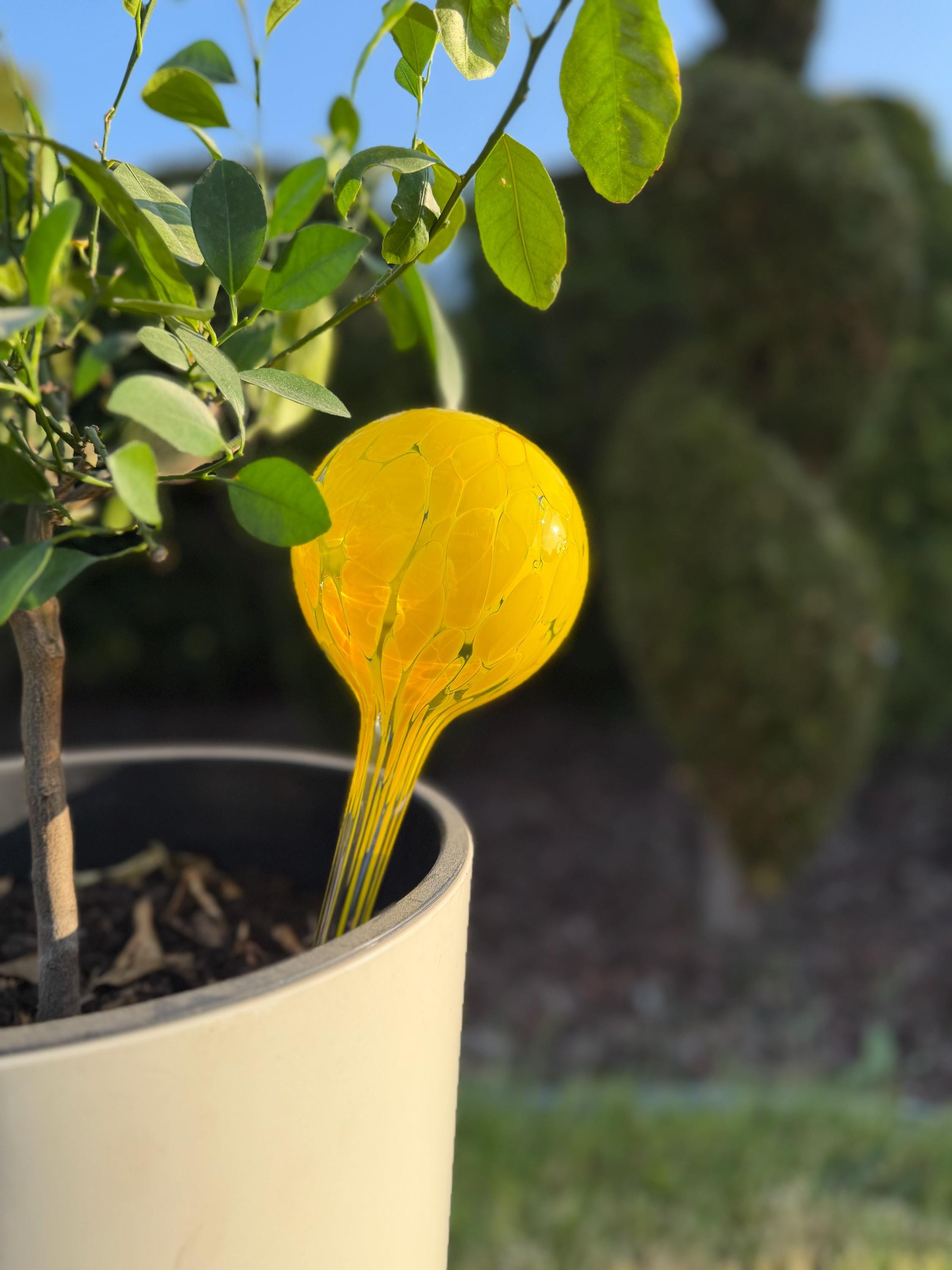 10cm Hand-Blown Yellow Glass Plant Watering Globe – Self-Watering Bulb