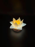 12cm Hand-Blown Glass Flower Lamp – White Petals, Wooden Base, Touch Control Night Light