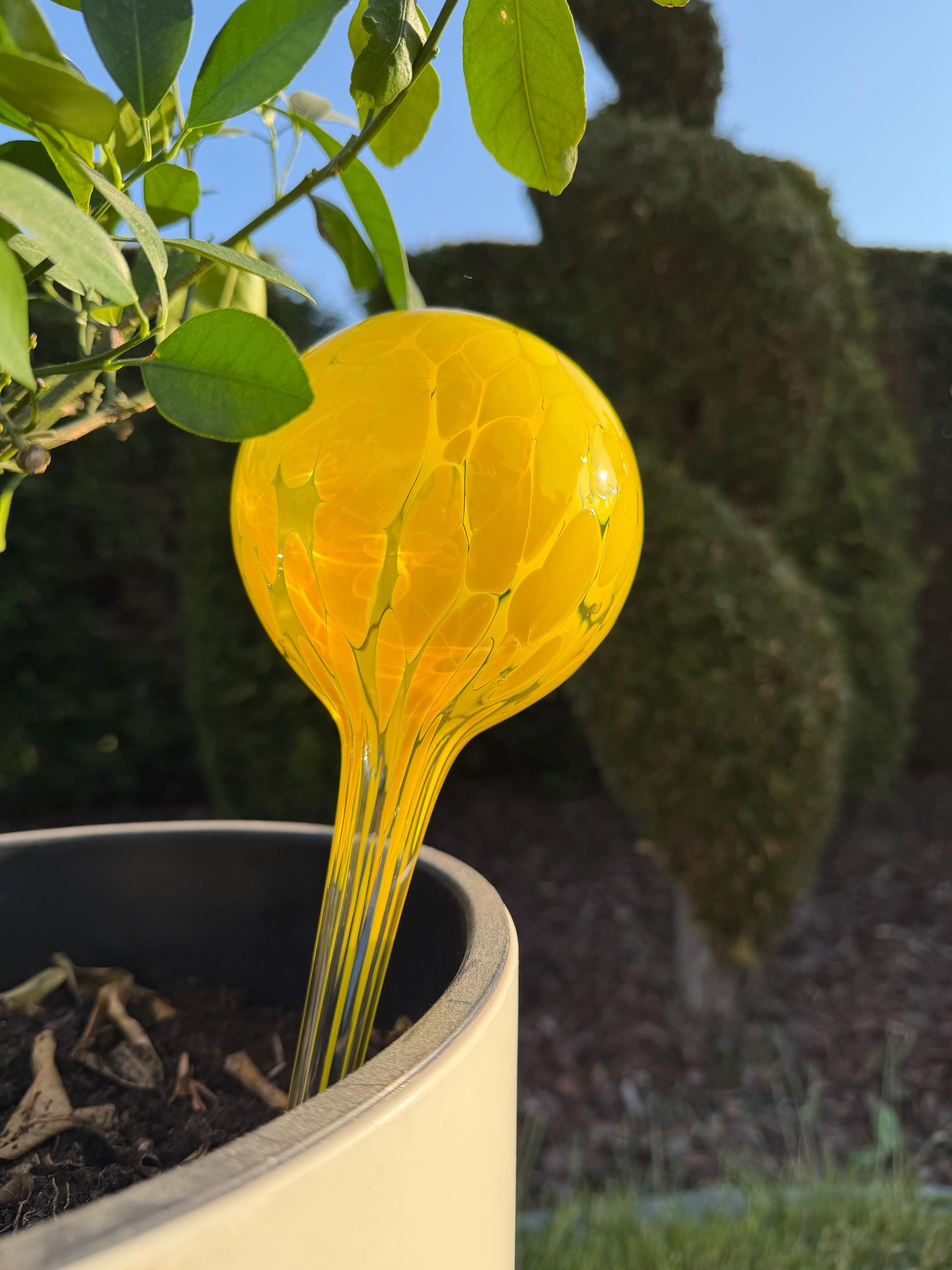 10cm Hand-Blown Yellow Glass Plant Watering Globe – Self-Watering Bulb