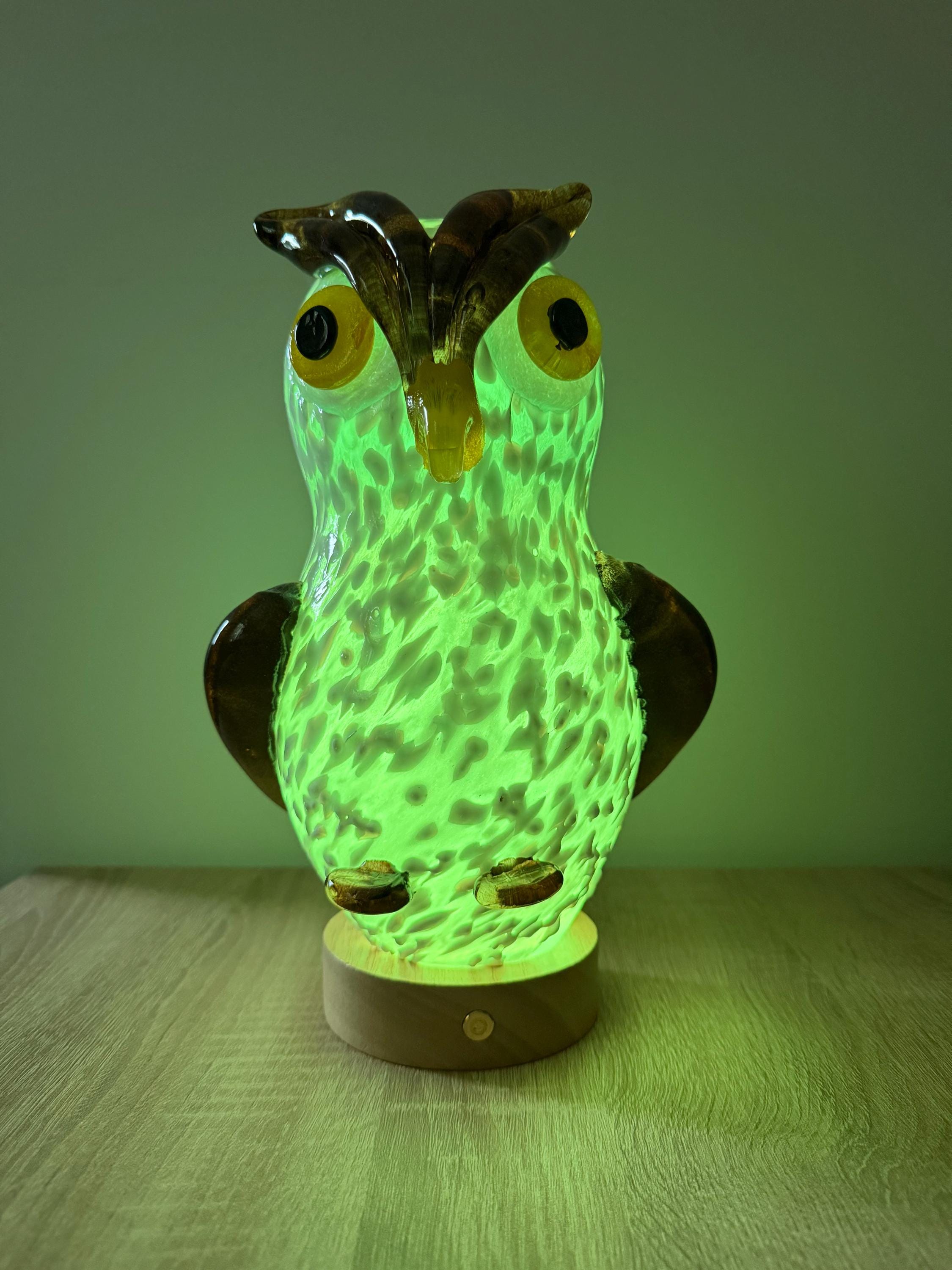 25cm Hand-Blown Glass Owl Lamp – Color Changing LED Touch Light Wooden Base