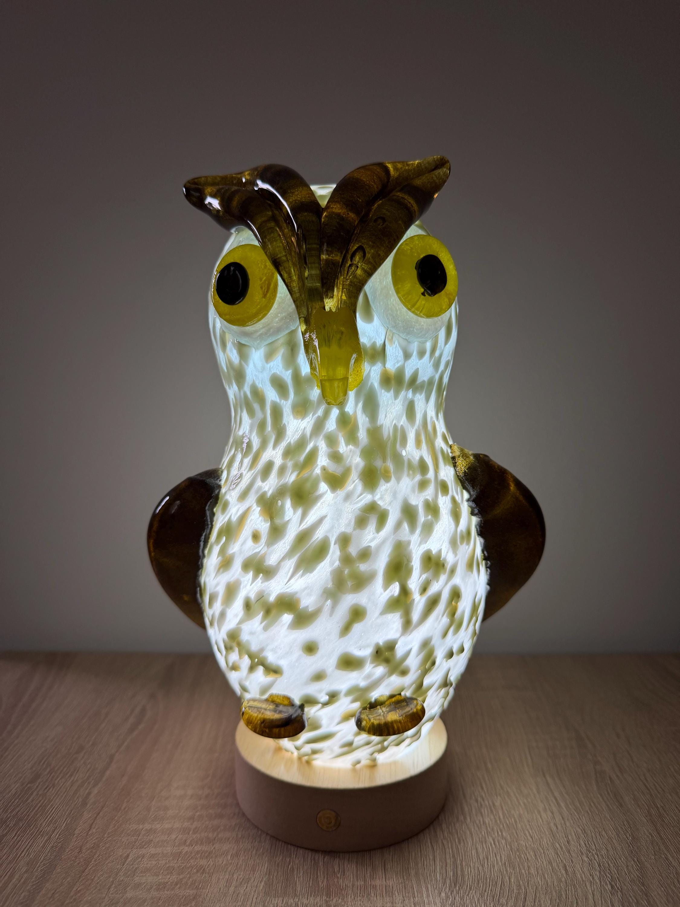 25cm Hand-Blown Glass Owl Lamp – Color Changing LED Touch Light Wooden Base