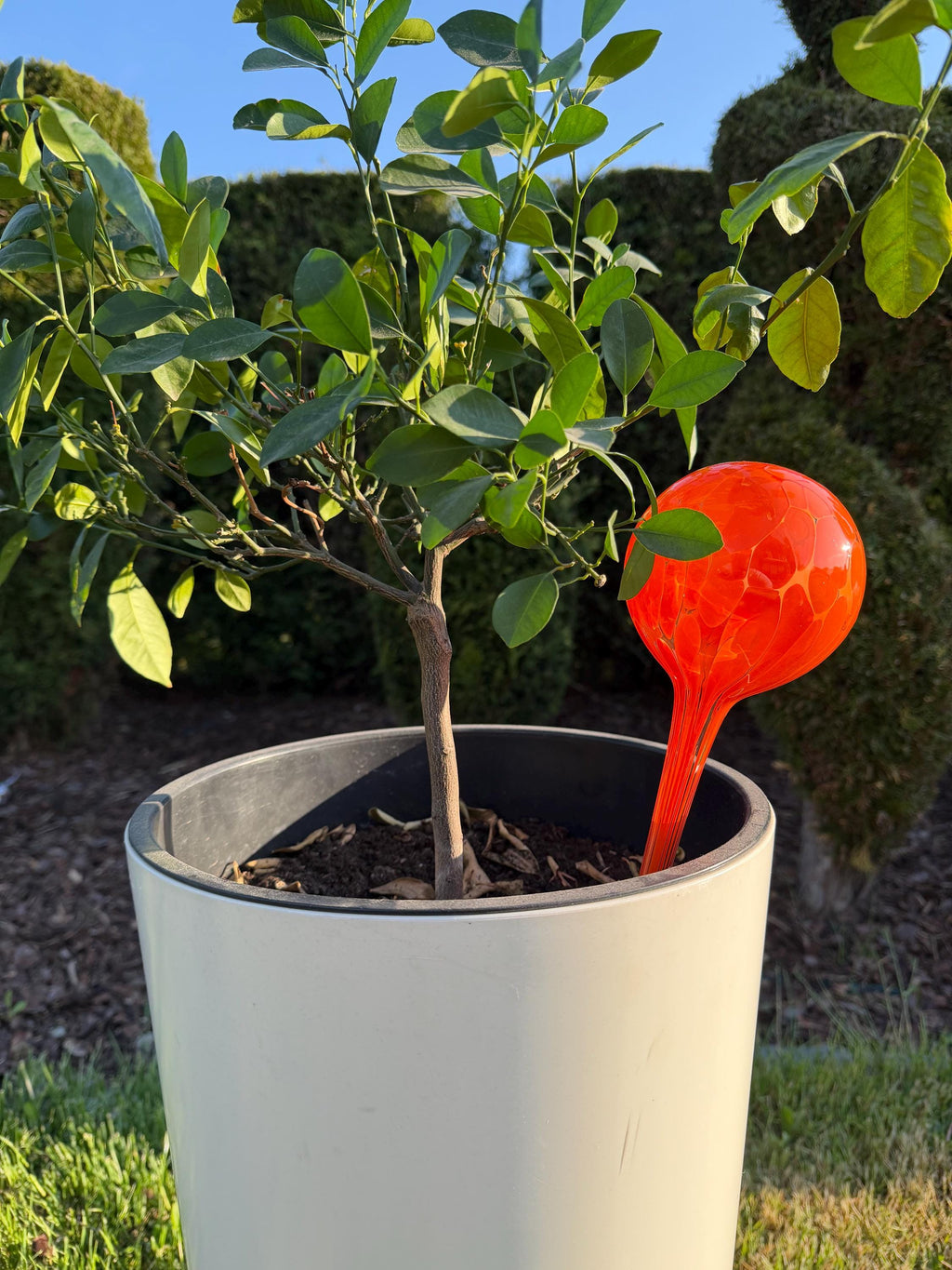 10cm Hand-Blown Orange Glass Plant Watering Globe – Self-Watering Bulb