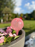 10cm Hand-Blown Pink Crackle Glass Plant Watering Globe – Self-Watering Bulb