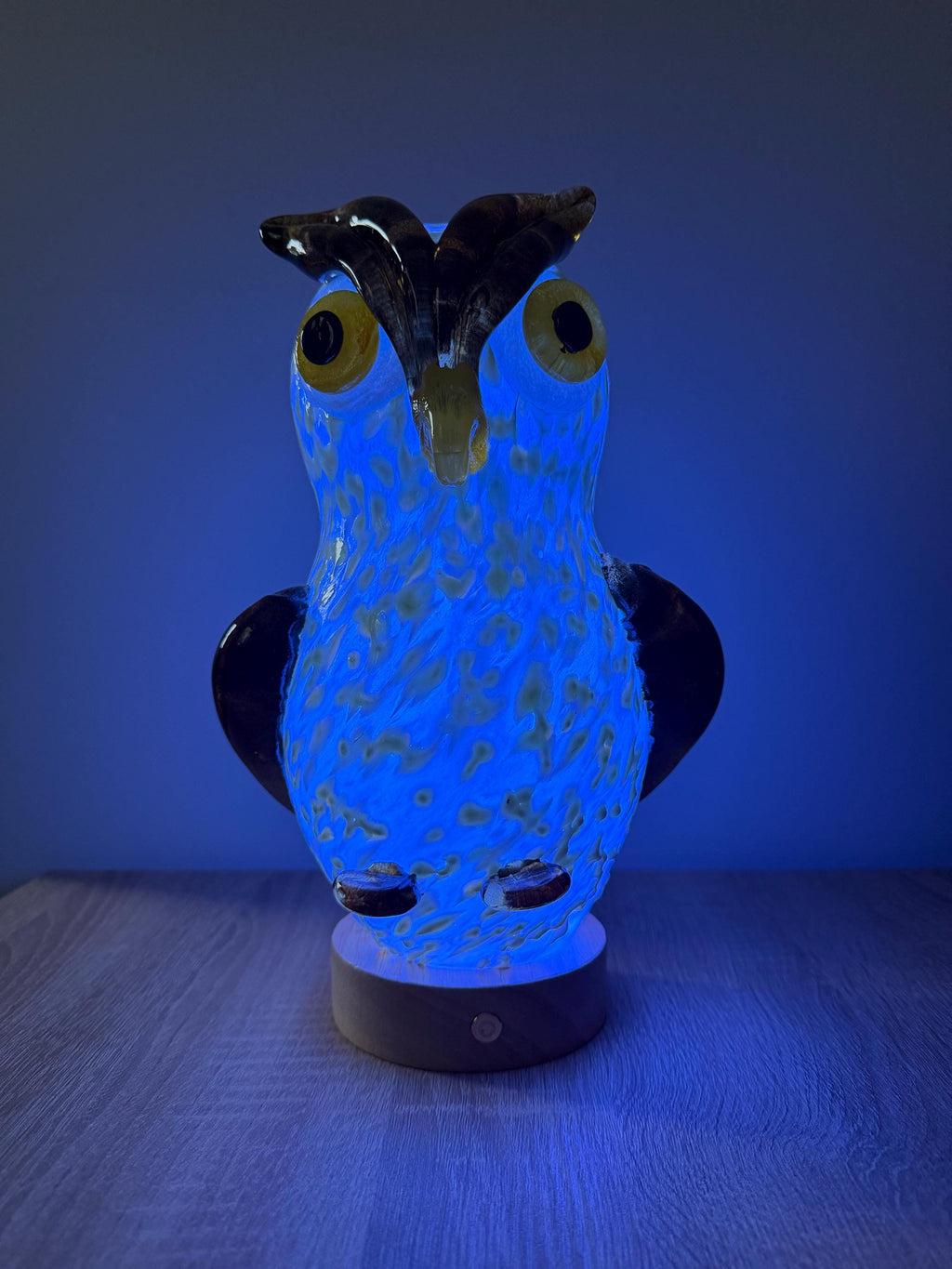 25cm Hand-Blown Glass Owl Lamp – Color Changing LED Touch Light Wooden Base