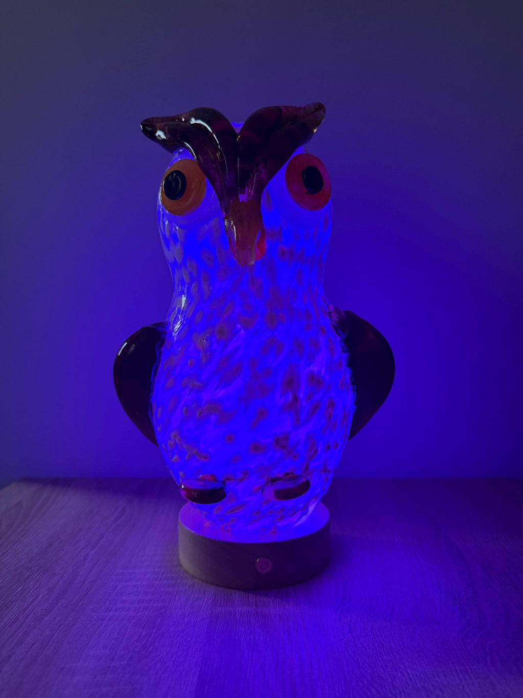 25cm Hand-Blown Glass Owl Lamp – Color Changing LED Touch Light Wooden Base