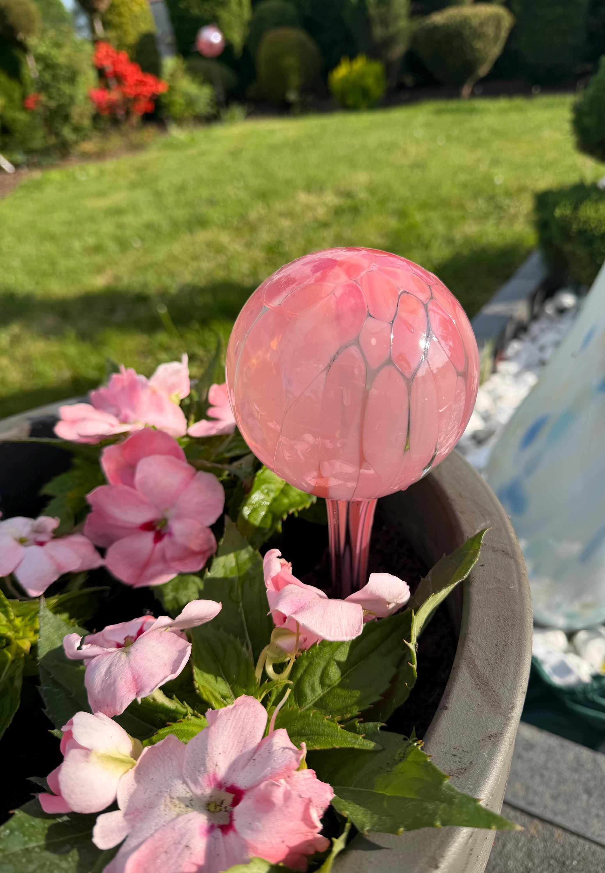 10cm Hand-Blown Pink Crackle Glass Plant Watering Globe – Self-Watering Bulb