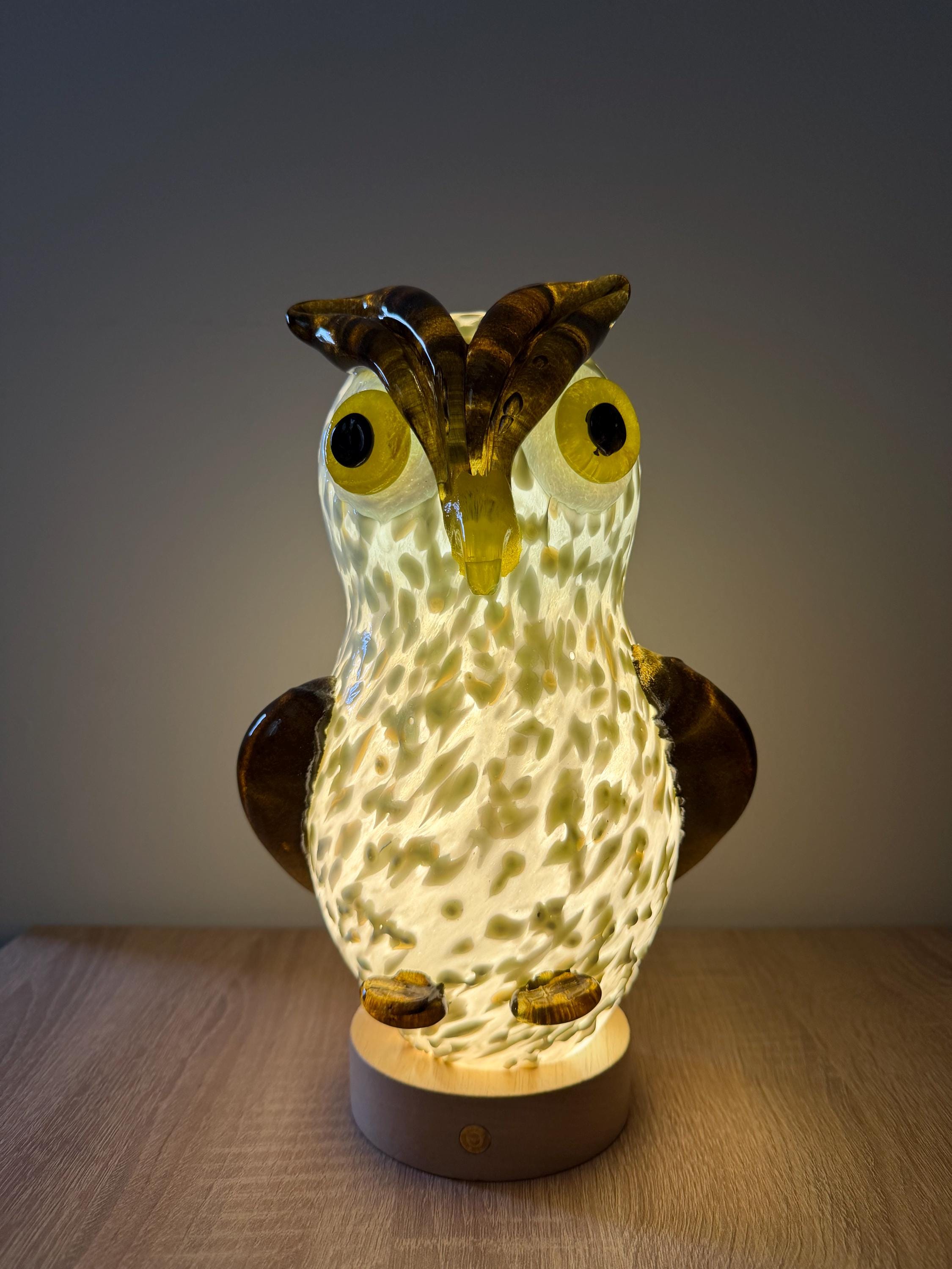 25cm Hand-Blown Glass Owl Lamp – Color Changing LED Touch Light Wooden Base