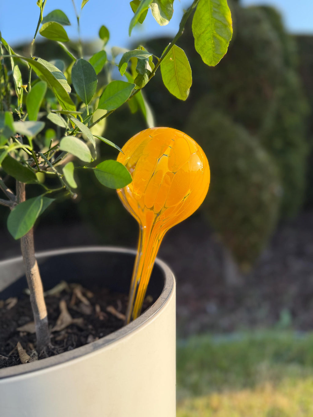 10cm Hand-Blown Orange Yellow Glass Plant Watering Globe – Self-Watering Bulb