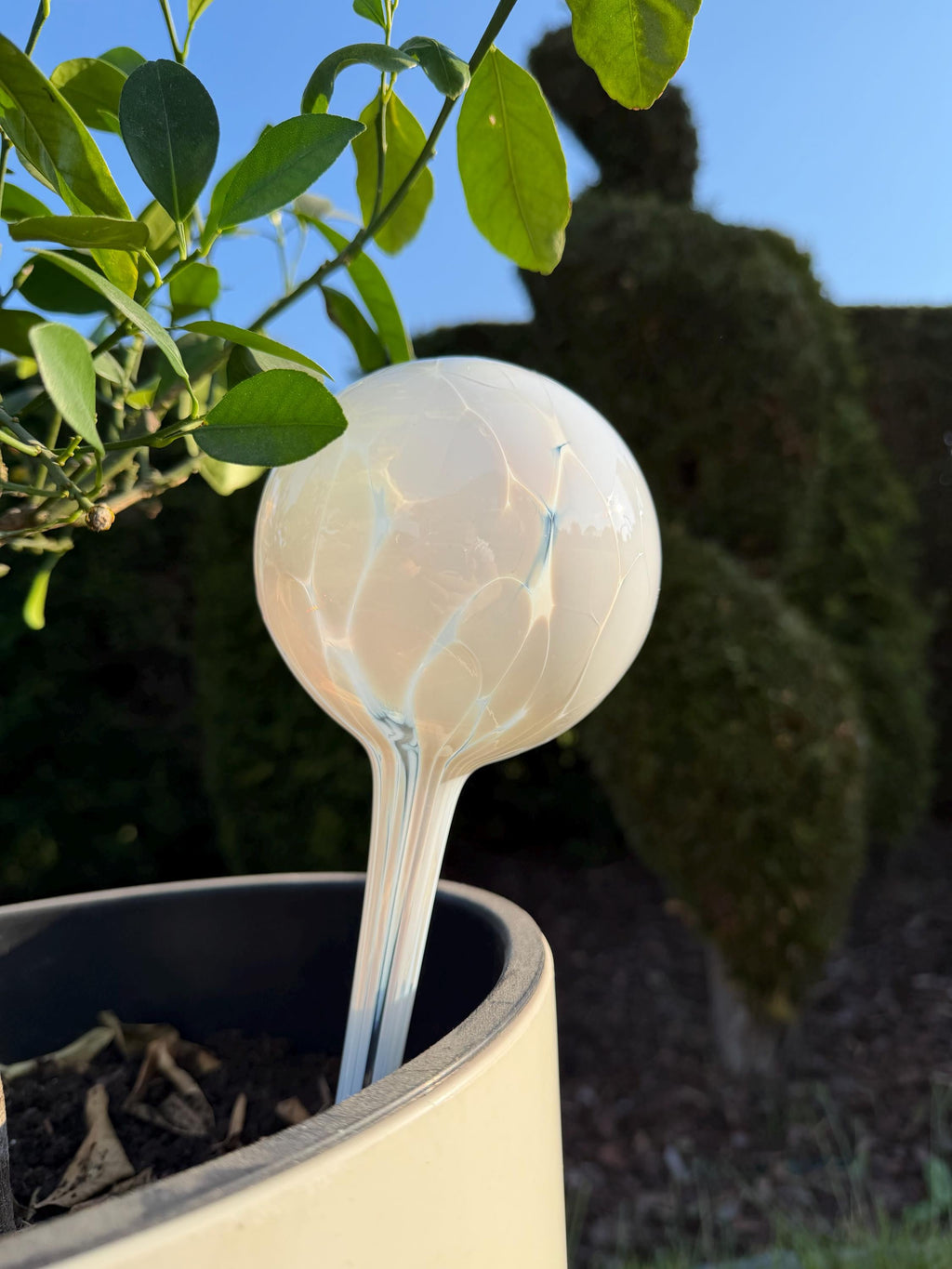 10cm Hand-Blown Pearl White Glass Plant Watering Globe – Self-Watering Bulb