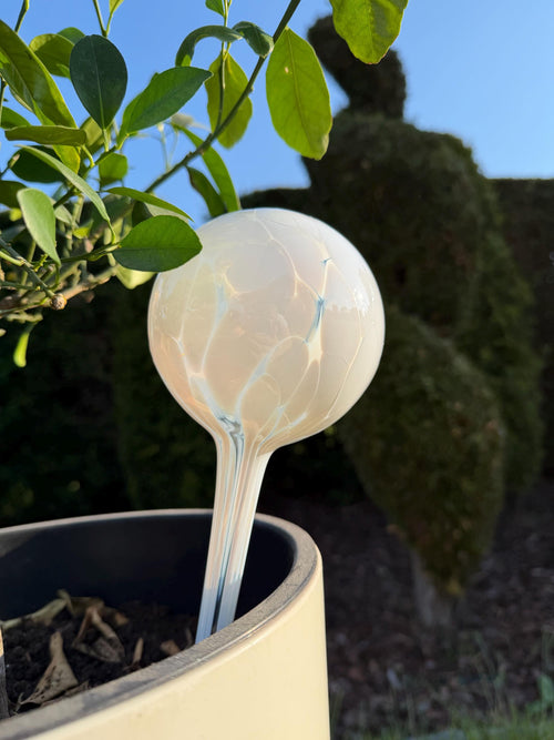 10cm Hand-Blown Pearl White Glass Plant Watering Globe – Self-Watering Bulb