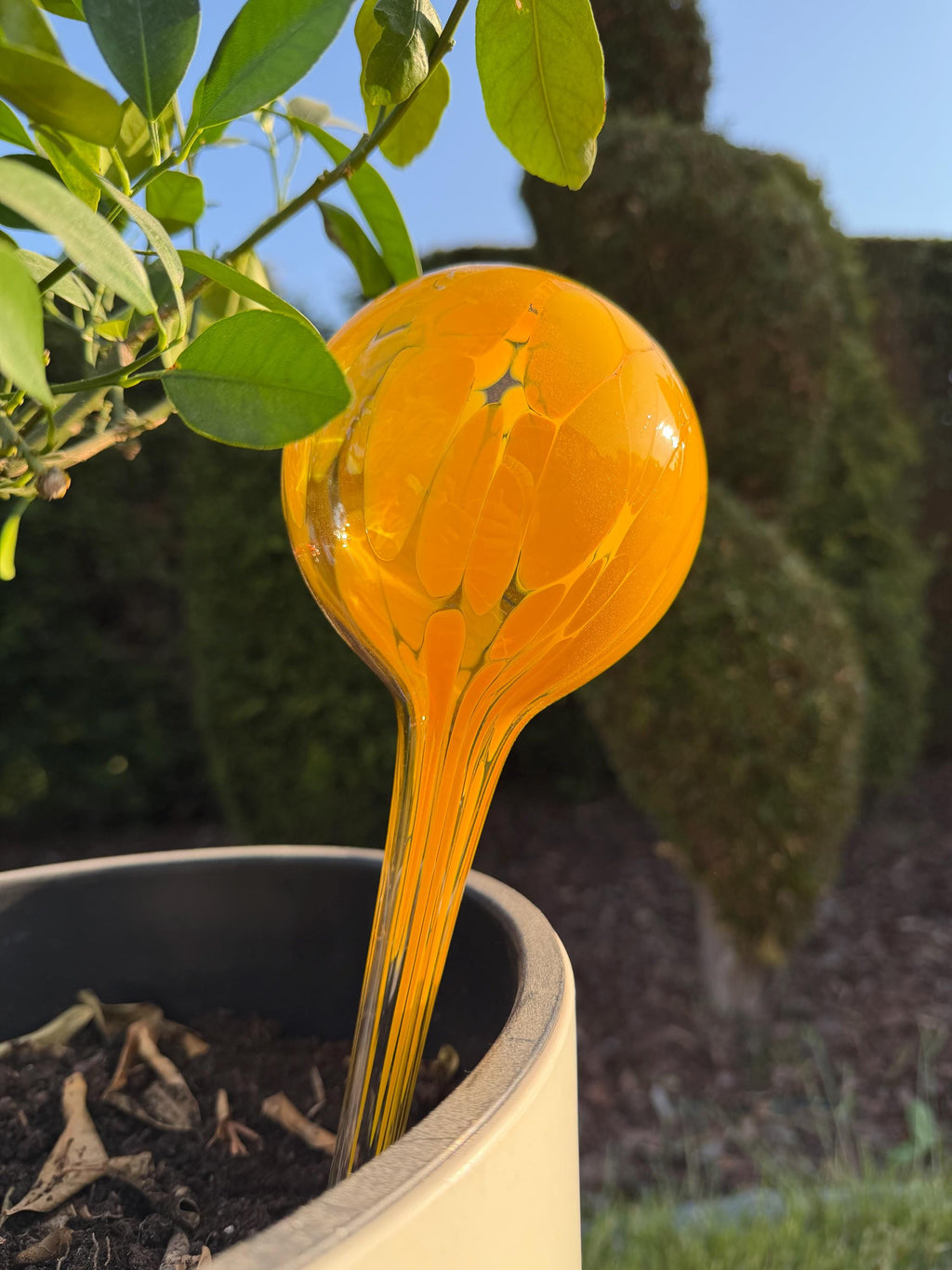 10cm Hand-Blown Orange Yellow Glass Plant Watering Globe – Self-Watering Bulb
