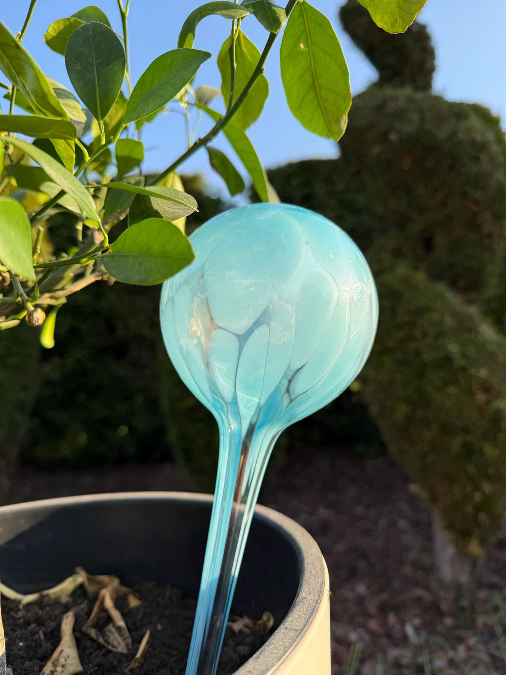 10cm Hand-Blown Turquoise Glass Plant Watering Globe – Self-Watering Bulb