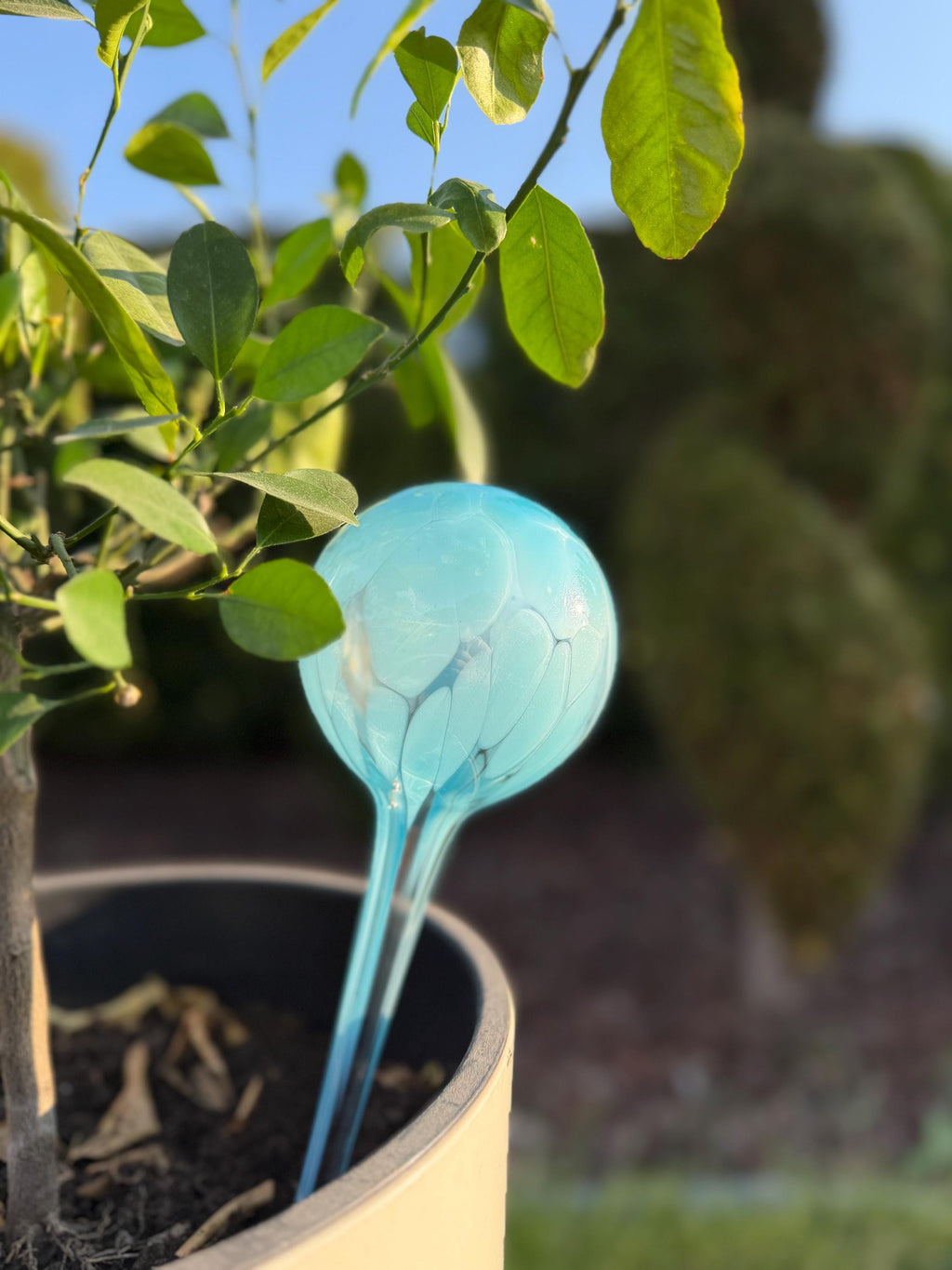 10cm Hand-Blown Turquoise Glass Plant Watering Globe – Self-Watering Bulb