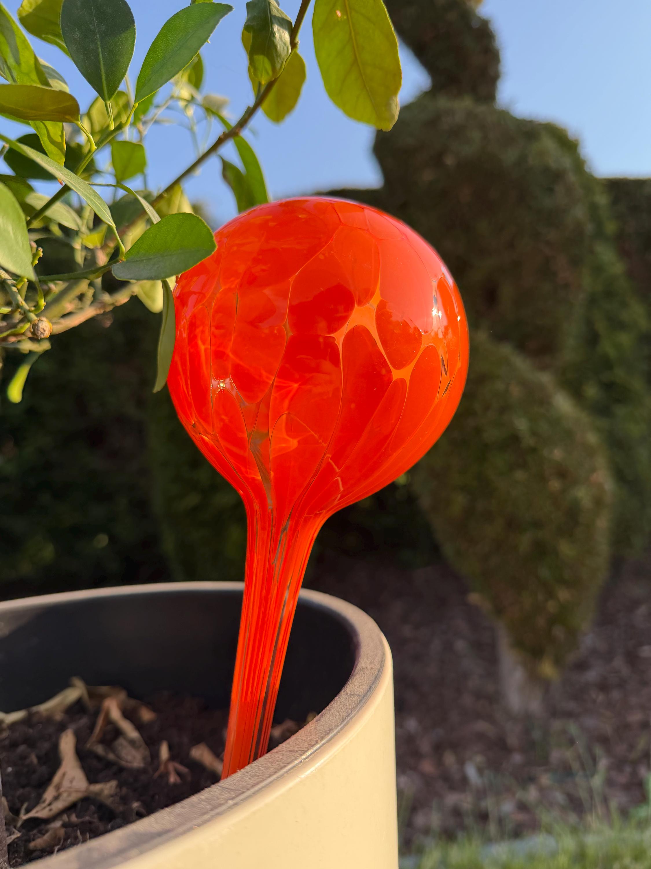 10cm Hand-Blown Orange Glass Plant Watering Globe – Self-Watering Bulb