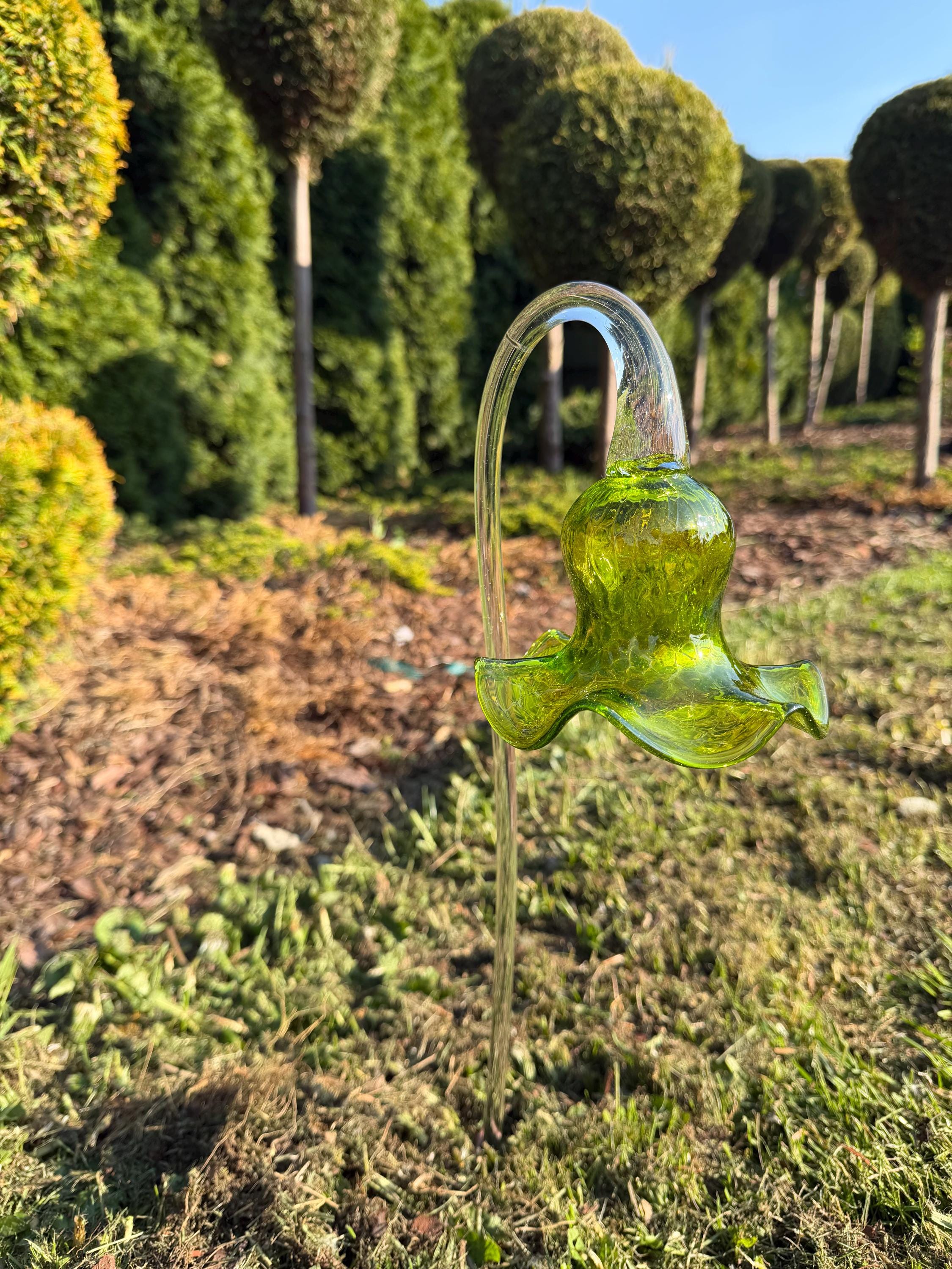 50cm Hand-Blown Green Glass Flower Sculpture – Lime Lily Garden Stake 12cm Bloom