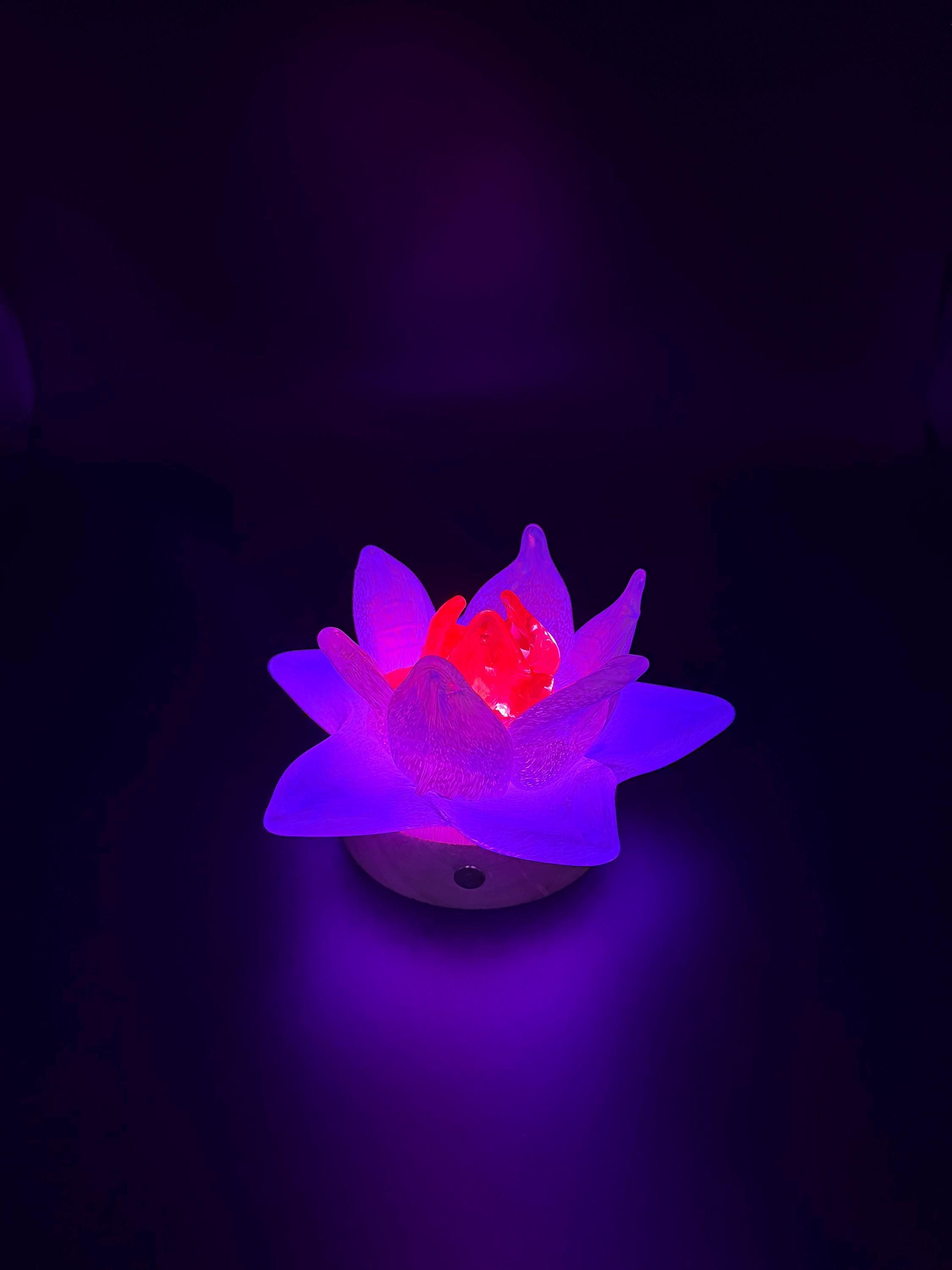 12cm Hand-Blown Glass Flower Lamp – White Petals, Wooden Base, Touch Control Night Light