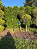 15cm Iridescent Green Glass Garden Stake - Hand Blown Garden Globe - 80cm Yard Art
